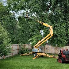 Best Organic Lawn Care Solutions  in Hayward, WI