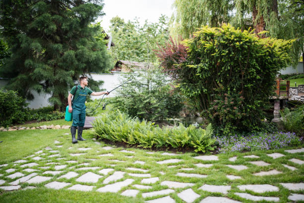 Best Aeration Services  in Hayward, WI